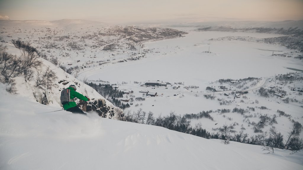 Skier Skiing