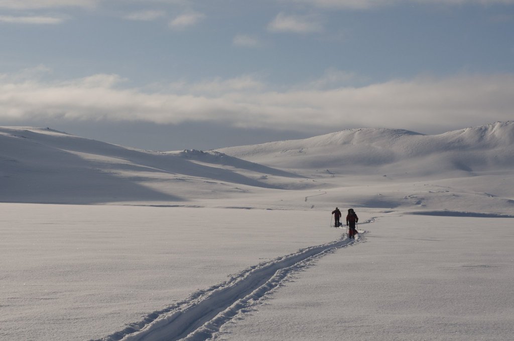 Cross-country Skiing